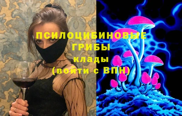 ПСИЛОЦИБИНОВЫЕ ГРИБЫ Богданович